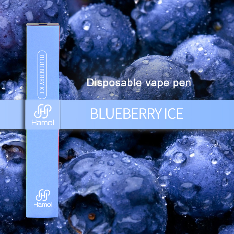 Original HAMCL 300 Puffs low price colorful blueberry sour raspberry disposable vape Wholesale price vape