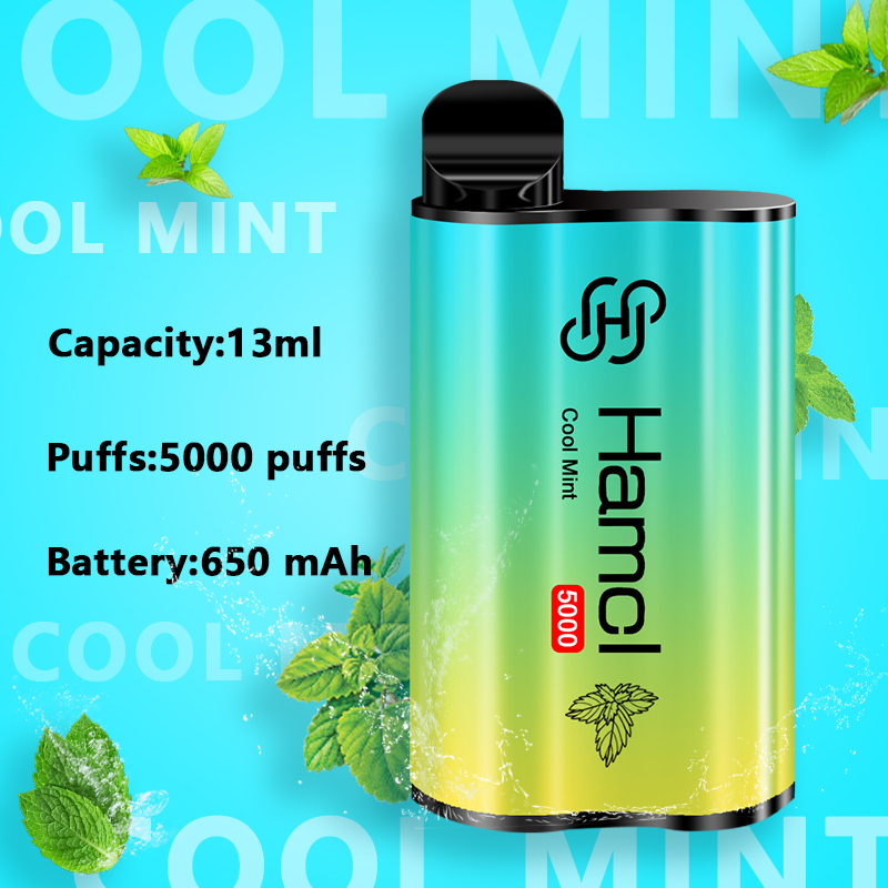 Hot selling Wholesale Original Hamcl Biggest 5000 Puffs Rechargeable high quality colorful Philippines vape