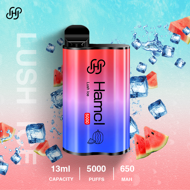 Hot selling Wholesale Original Hamcl Biggest 5000 Puffs Rechargeable high quality colorful Philippines vape